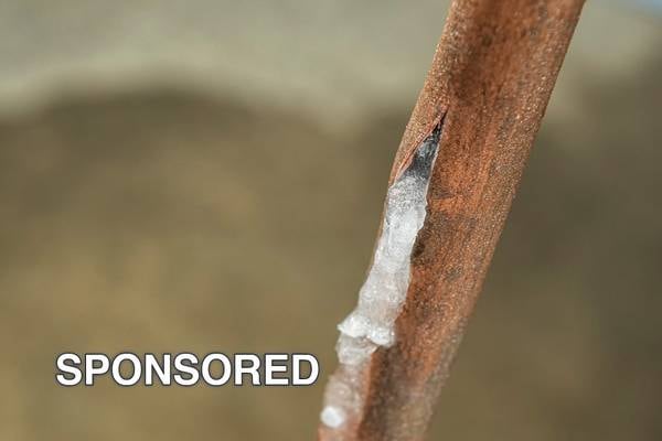 Protect Your Home from Frozen Pipes