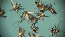 Mosquitoes in Mokena test positive for West Nile virus 