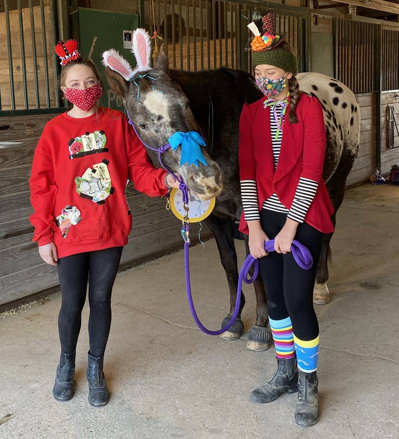 HorsePower Therapeutic Riding to hold trickortreating event Oct. 30