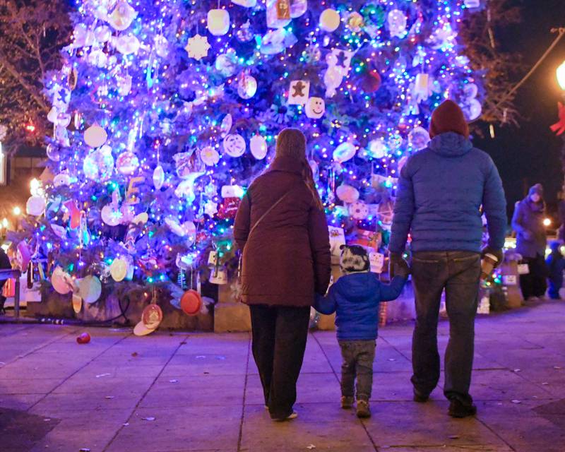 Leo Potok, 2 ½, of Downers Grove holds hands with Keri Andriopoulos, aunt, of Aurora and his dad Viktor Potok of Downers Grove as they approach the tree to take photos and look at the decorations after the Christmas tree ceremony on Friday Nov. 29, 2024, held in downtown Downers Grove.