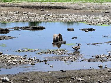 Removal of Carpentersville Dam on Fox brings ‘unexpected challenges’ as water level drops, pipes exposed 