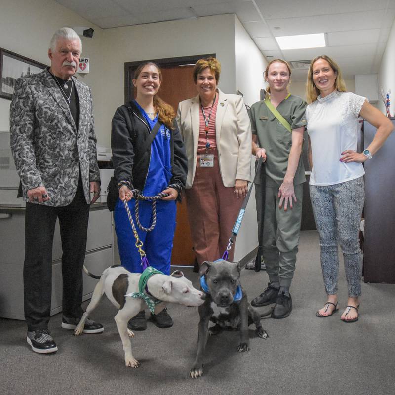 The Will County Animal Protection Services (WCAPS) team kicks off their “Barktober” adoption promotion with County Executive Jennifer Bertino-Tarrant by visiting the office of State’s Attorney James Glasgow. From left to right: State’s Attorney James Glasgow, WCAPS animal caretaker Becky Barry, County Executive Jennifer Bertino-Tarrant, WCAPS veterinary technician Jeremy Harris, WCAPS administrator Anna Payton.