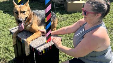 Dogs pant, sniff their way through rescue rally in Oregon