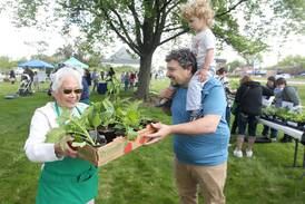 Lake County Master Gardeners plant sale