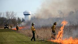 Forest Preserve District of Kane County plans prescribed burns to boost ecological health