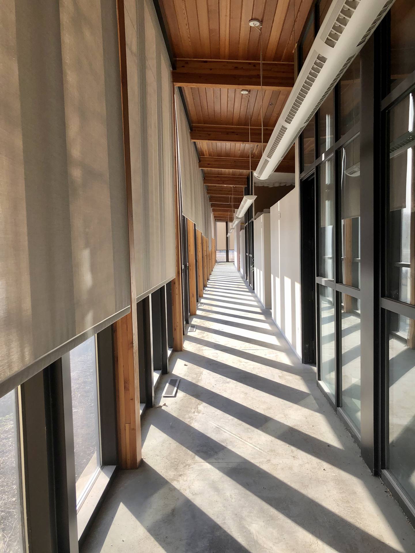 Floor to ceiling windows along the entire front corridor provide natural light (David Petesch - dpetesch@shawmedia.com)