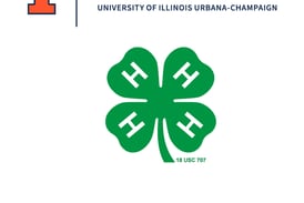 Ogle County 4-H invites youths to Day of Dabbling on Feb. 28