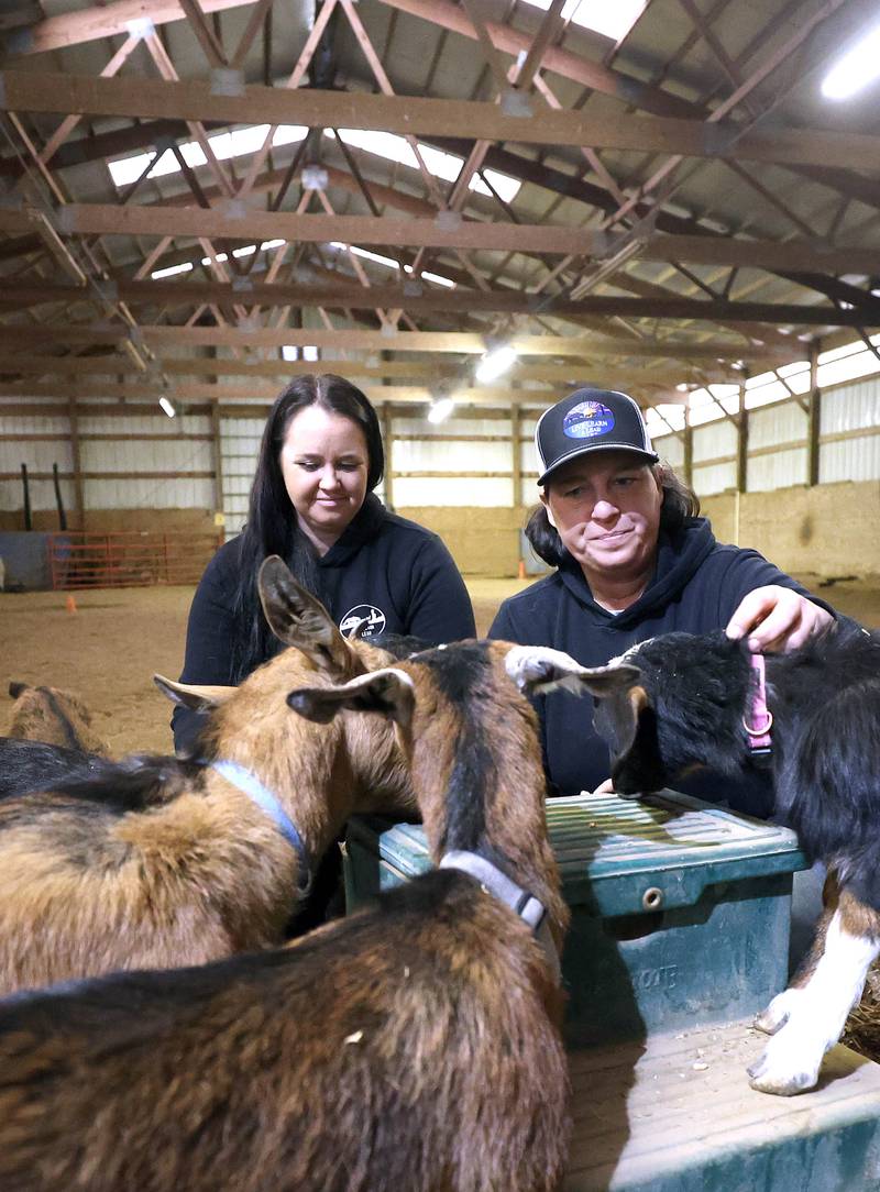 Didi Dowling, owner and executive director of Live, Learn and Lead, (right) and Cathy Best, executive director of programs, give the goats a snack Friday, March 31, 2023, at their barn in Hampshire.