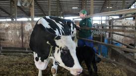 U.S. dairy industry poised to grow