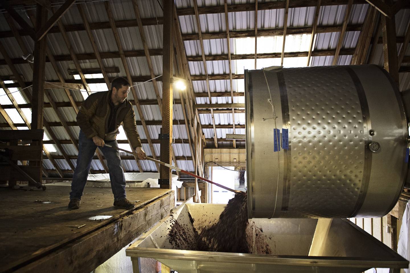SCENE-Uncorked-Nokes-SparklingWines-January2025-Harvest_Chris Fladwood_Soter Vineyards Photo Credit_ Carolyn Wells-Kramer