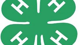 Leaf River Lions Club donates to Soaring Eagles 4-H Club