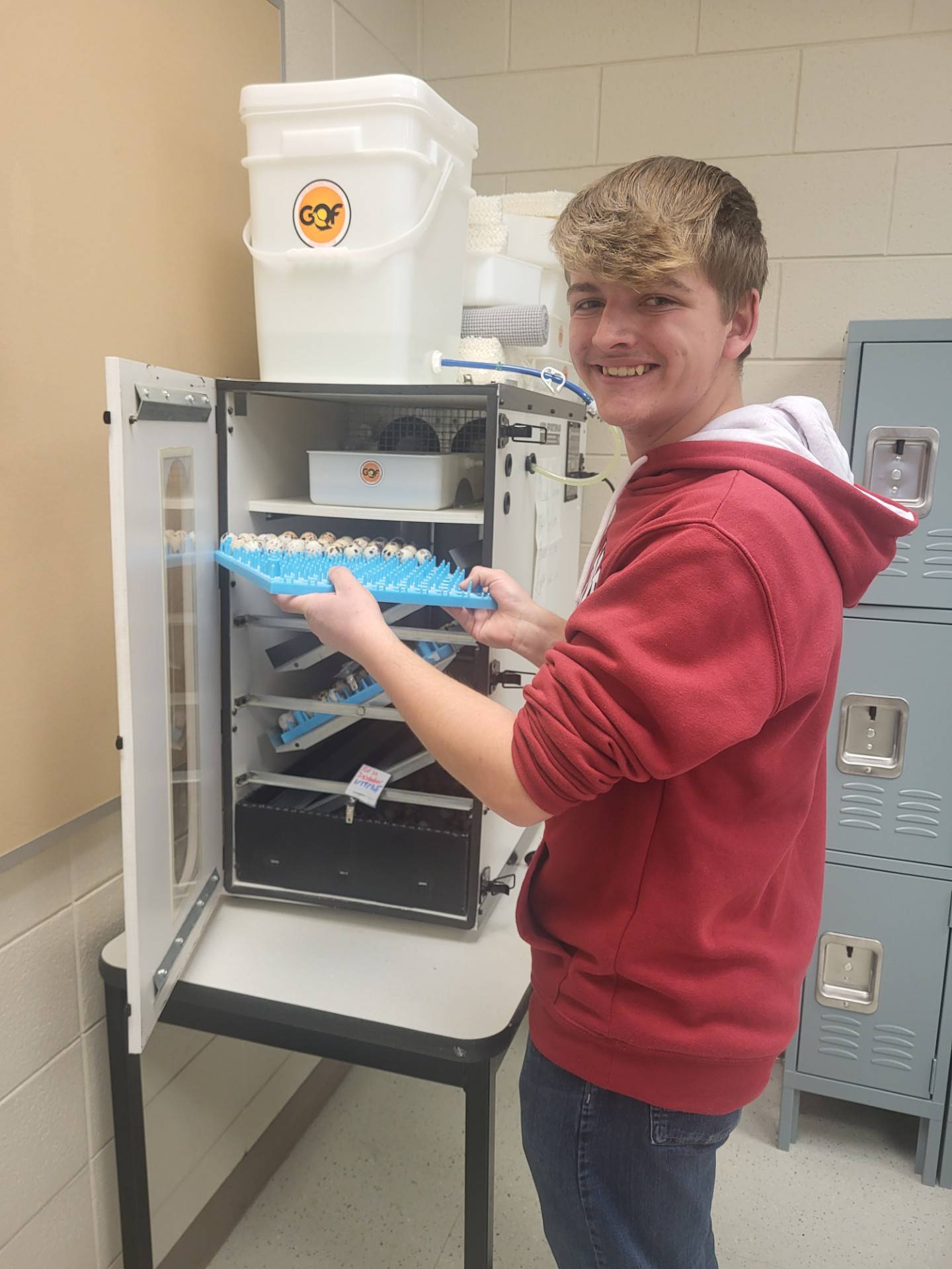 Garrett D’Agostin checks on the quail eggs in the incubator at the school. This project started small 12 years ago and now the students care for 100 to 150 birds that include all life stages.