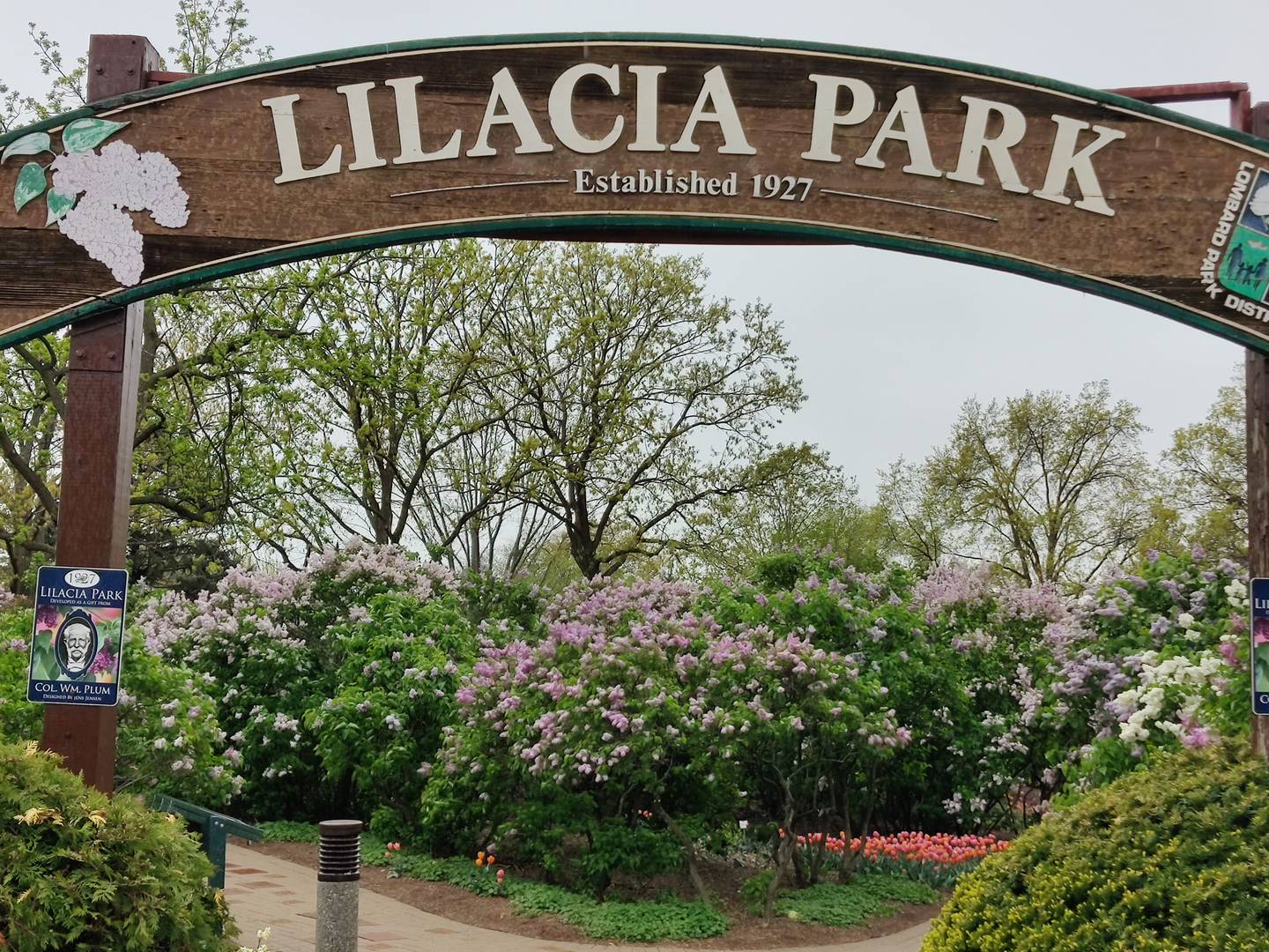Celebrate the beauty of Lilac Time in Lombard at a variety of special events including guided walking tours of Lilacia Park offered by the Lombard Historical Society through May 17. Go to lombardhistory.org/lilac-time. For details on the festival continuing through May 18, visit lombardlilactime.com.