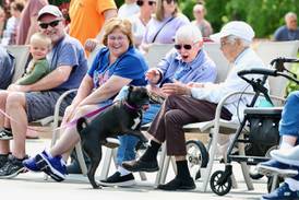 Photos: Paws on Park Avenue