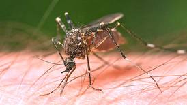 West Nile virus found in Will County mosquitoes