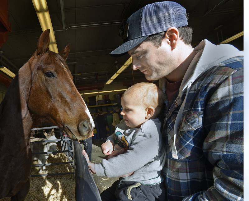 ack Lewis gets help from Chris Lewis to get up and close to a horse during the Farm Fair organized by the Streator High School FFA Monday at the high school AG Shop.