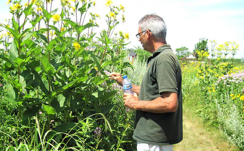 Bill Warzecha, owner of Natives Haven, a native wildflower botanic nursery in Harvard.