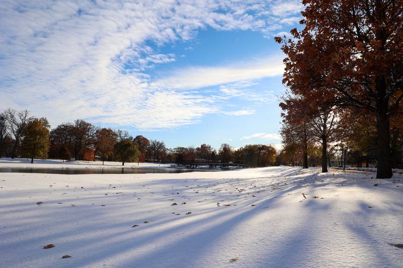 Trees continue to shed their leaves near the Island Park Bridge over the Kankakee River in Momence after approximately 12 inches of snow fell in the early hours of Nov. 10, 2025.