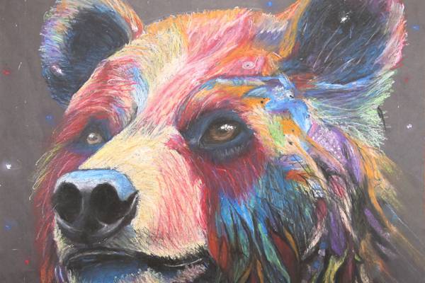 Sterling’s Woodlawn Arts Academy honors 2026 student-teacher art exhibit winners 