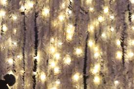 Recycle holiday lights at Wheaton’s public works facility