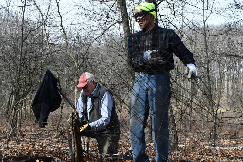 The Forest Preserve District of Will County invites community members interested in giving back to nature to join one or more of its Volunteer Morning programs.