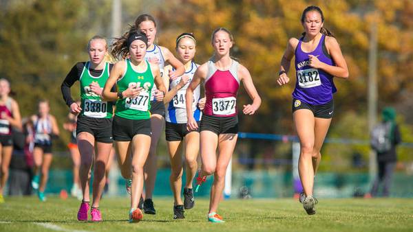 Photos: IHSA Class 2A Cross Country Sectional at Lakes