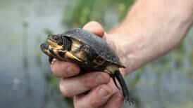 Lake County Forest Preserves wins pair of awards