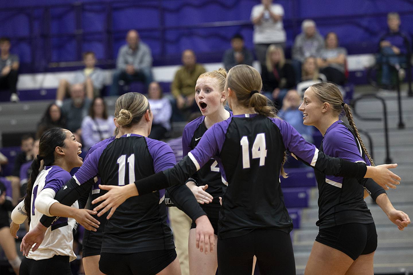 Dixon celebrates their first set win over Rochelle Monday, Oct. 28, 2024, during regional play in Dixon.