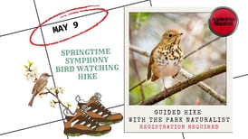 Enjoy a bird hike May 9 at Starved Rock State Park