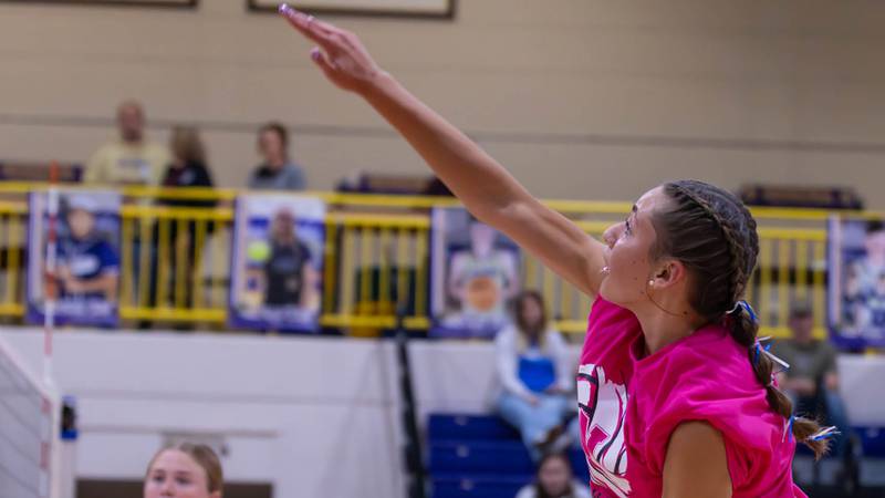 Newark tops Serena in 3-set thriller for Little 10 Tournament title