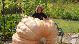 Stillman Valley woman attempts to grow record-sized pumpkin: ‘You learn something every year’