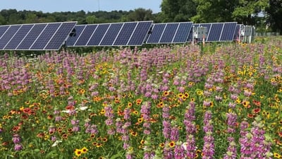 Yorkville joining community solar farm to reduce city electricity bills by 10%