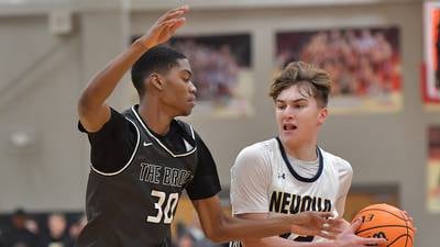 Neuqua Valley’s dynamic duo takes down Bolingbrook