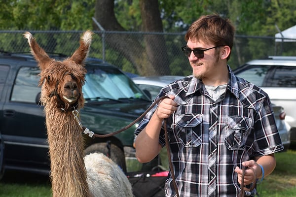 Ogle County 4-H Fair Llama and Alpaca Show winners named
