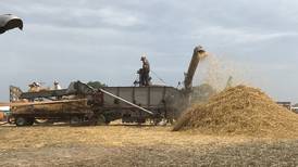 Erie farm’s threshing bee to give visitors close-up look at old-fashioned farming
