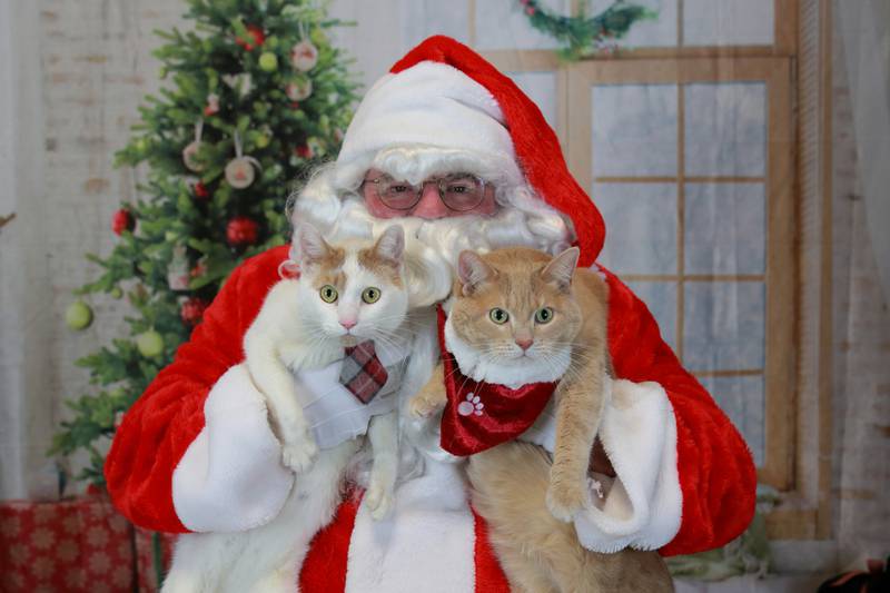 Santa Claus is coming to Will and Grundy counties in 2022, eager to meet with people and pets.