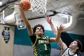 Photos: Crystal Lake South defeats Sycamore, Class 3A Woodstock North Sectional semifinal boys basketball