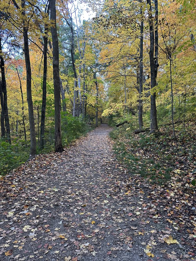 A view of a upper trail on Sunday, Oct. 22, 2023 at Matthiessen State Park.