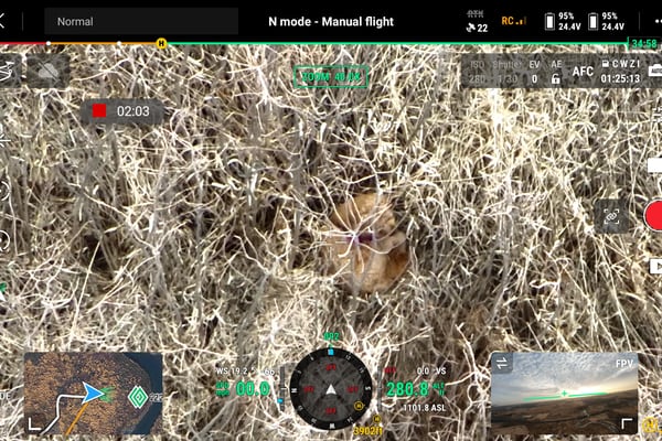 Dog missing for over 2 weeks in Glacial Park located by volunteers, drones