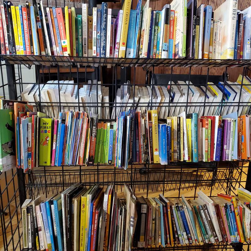 Prairie Fox Books in Ottawa announced it’s helping to raise funds to put free books into the hands of children.