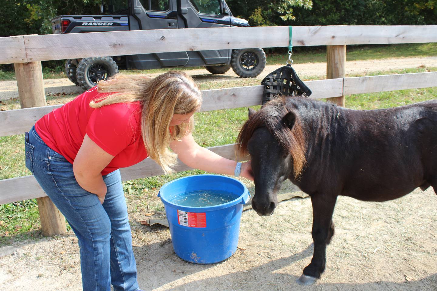 Hooved Animal Humane Society Executive Director Cynthia Glensgard pets Luke, one of the 59 rescued ponies from downstate.