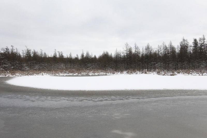 A view of the Volo Bog seen on a tour Jan. 13, 2019, during WinterFest at the Volo Bog State Natural Area on Brandenburg Road in Ingleside.