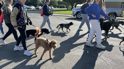 Sniffing, tail wagging all part of the Doggy Dash fundraiser at Polo High School