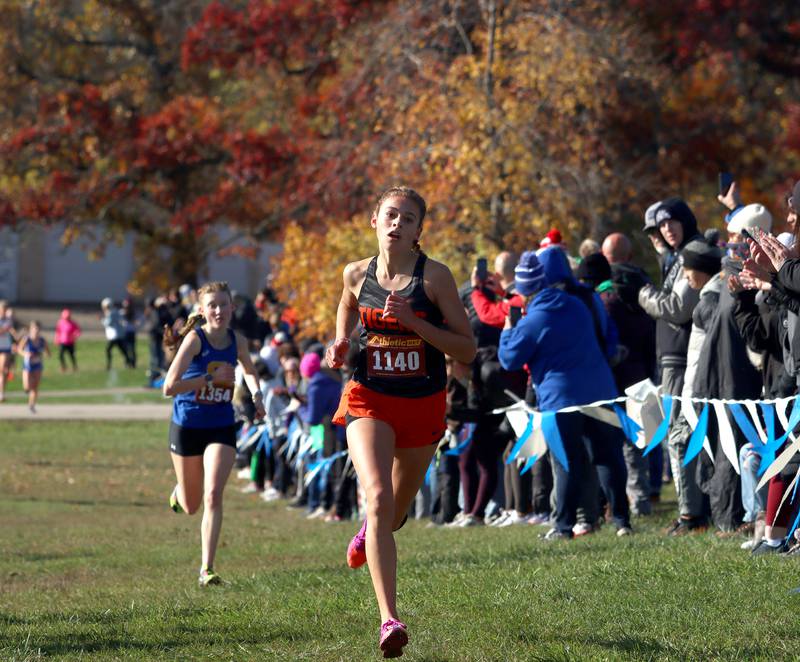 Crystal Lake Central’s Hadley Ferrero runs in a Class 2A Sectional Cross Country Meet at Emricson Park in Woodstock Saturday.
