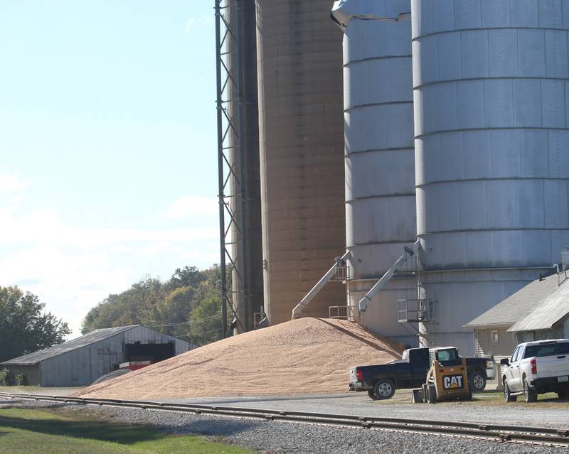 Grain pours out of a partial collapse silo at Rumbold & Kuhn Inc. on Tuesday, Oct. 15, 2024 in Putnam.