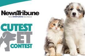 NewsTribune’s Cutest Pet Contest