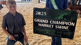 Ogle County 4-H Fair Swine Show winners named