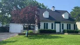 City of Crystal Lake seeks to demolish Dole Avenue home where AJ Freund was allegedly beaten to death