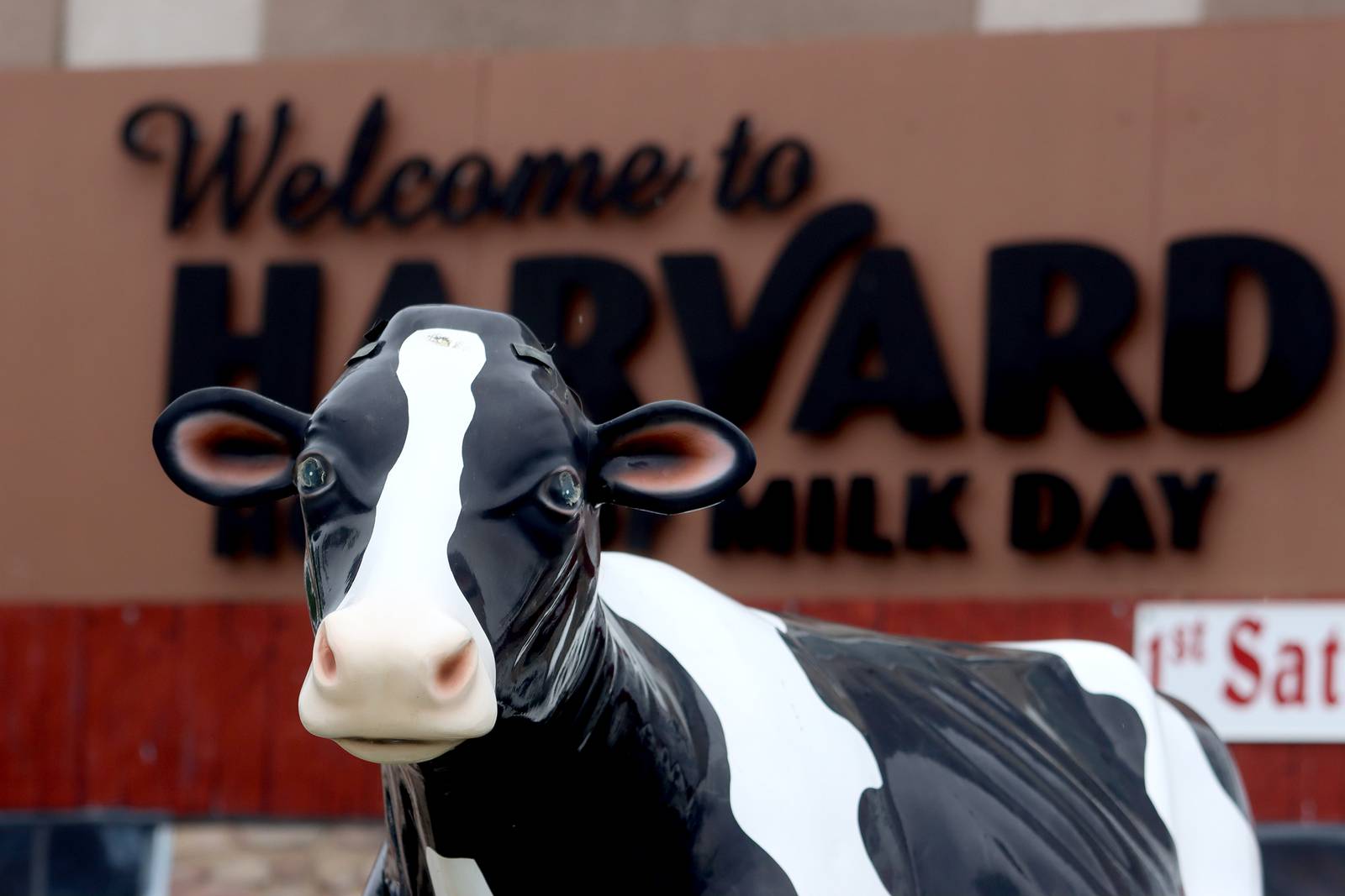 Photos Harvard Milk Days parade Shaw Local