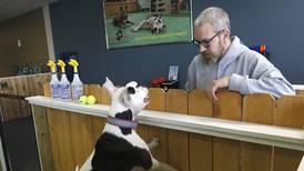 McHenry indoor dog park, day care to resume full operations with additional staff